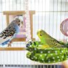 MUYG Bird Toy Climbing Hammock Nest Wooden Hanging Bird Bed for Cage Perch Stand Swing with Bird Bell Toy for Parrot Parakeet Cockatiel Conure Cockatoo - Image 7