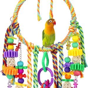 Bird Toys Bird Swing Toy Bird Perches Colorful Chewing Toys for Parakeets Meyers Cockatiel Conure Quaker Caique and Other Medium Sized Birds