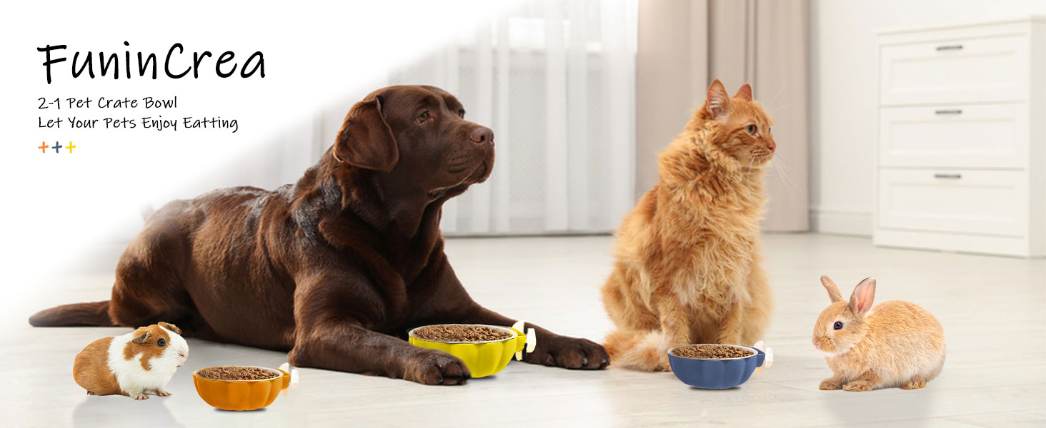 crate water bowl