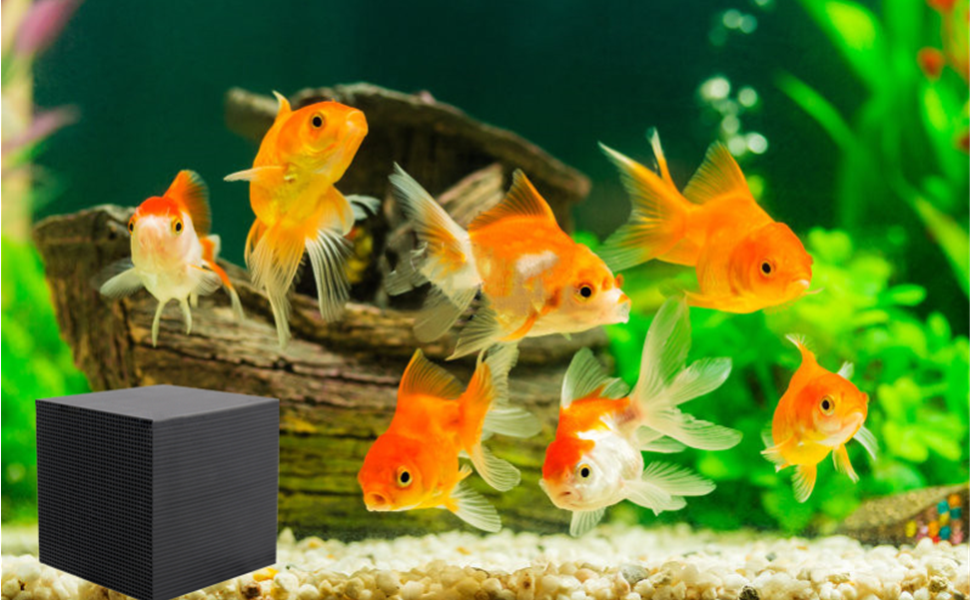 Eco-Aquarium Water Purifier Cube