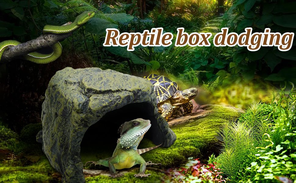 Reptile Hideout Cave