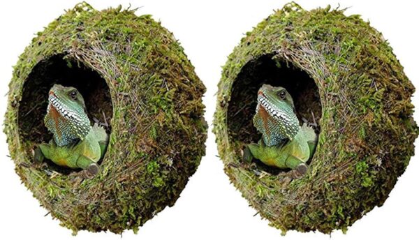 kathson 2pcs 6" Reptile Moss Cave Hide for Humidity,Mossy Hideout for Turtle Crested Gecko Spider Lizard Frog Chameleon